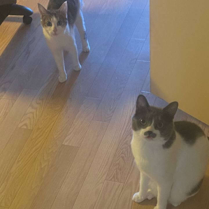 106172d1 9b05 4487 b10b f96530ff1a4a 1628061145784