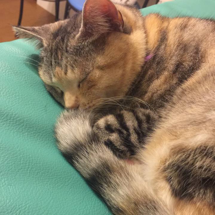 106188c8 431e 451b a7ec 47a8cf5dbf9f 1552133380628