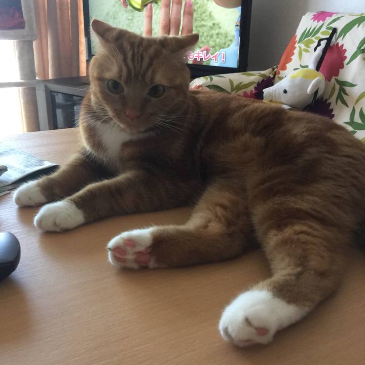 10619a38 88cb 4b9b 8fa5 b919393bd986 1535259522104