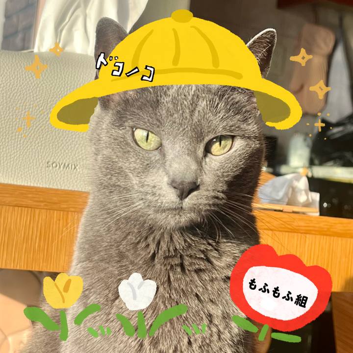 1061a527 27d7 468e 8c67 5caa4ddab9b1 1712479477890