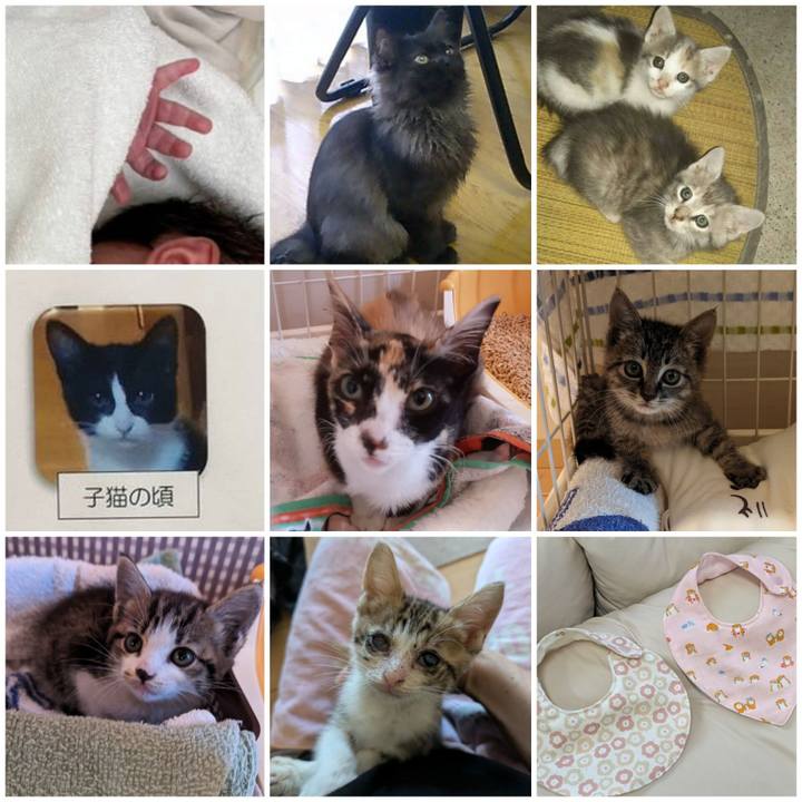 1061f97f fed7 4c55 8ef0 444734d33d49 1753935924462