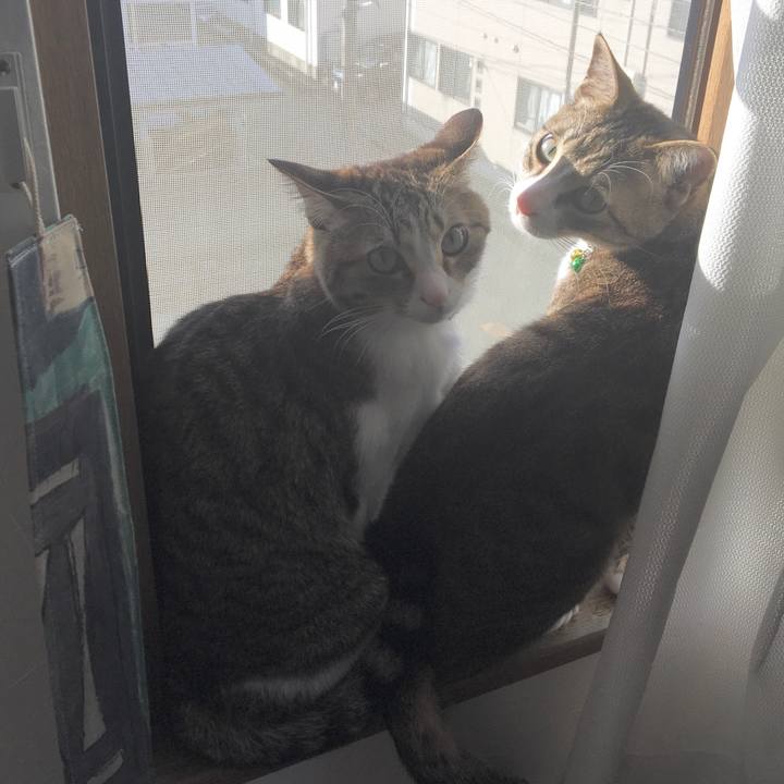 10621d92 3f8d 4b34 a634 06bb02f49c1e 1680047051364