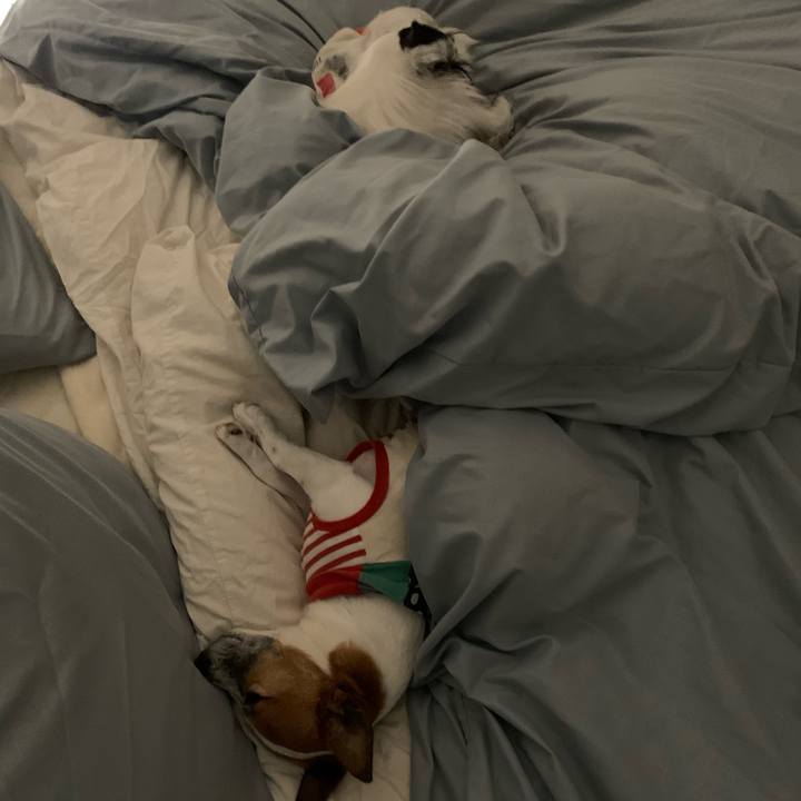 10622d5e 4438 4b37 a946 263fbb20a2e9 1582034728735