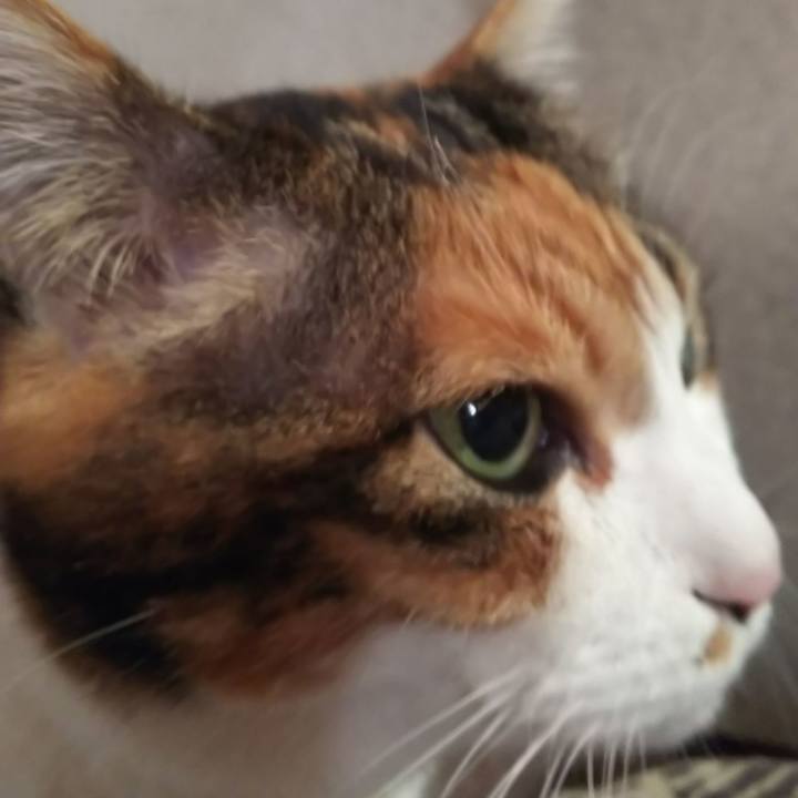 10624a61 0d7a 4cf1 9cb8 510d5541724b 1577754209770