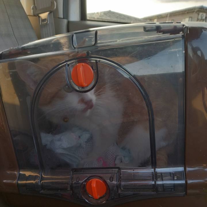 106278ac 376c 409f b1c1 48305adc18a9 1744882157857