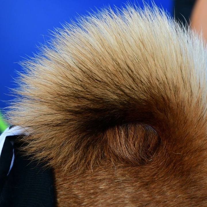 106286d9 4210 4915 946d 3178dd769492 1636553696228