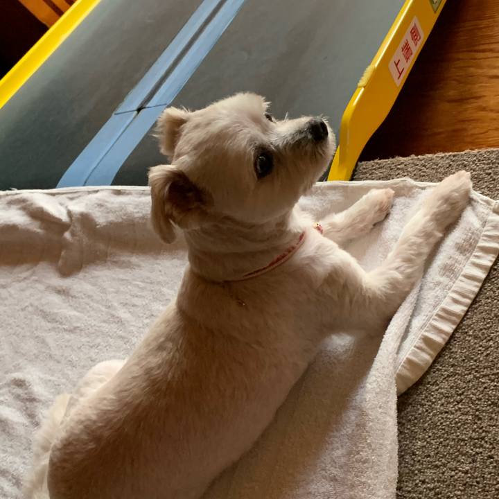 10628f6f e8be 414d 9d66 116fd72c7e51 1590993548088