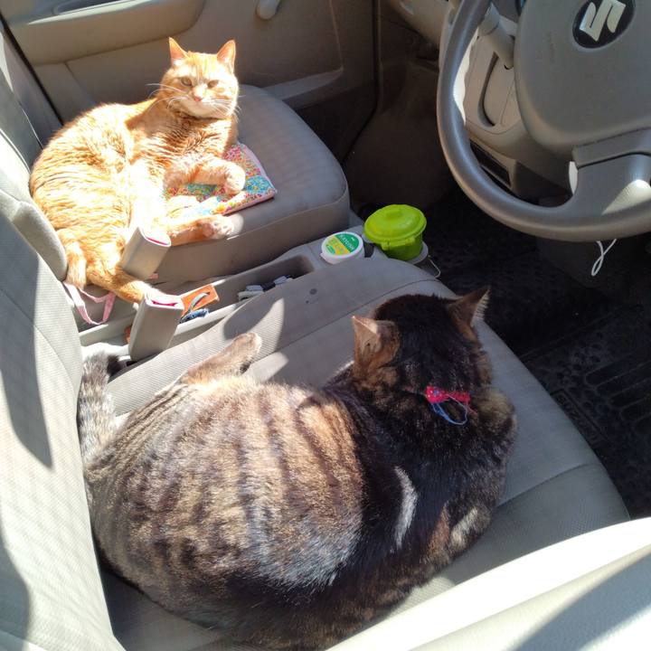 1062b882 7384 4ee4 b10a dde45b089635 1681884152569