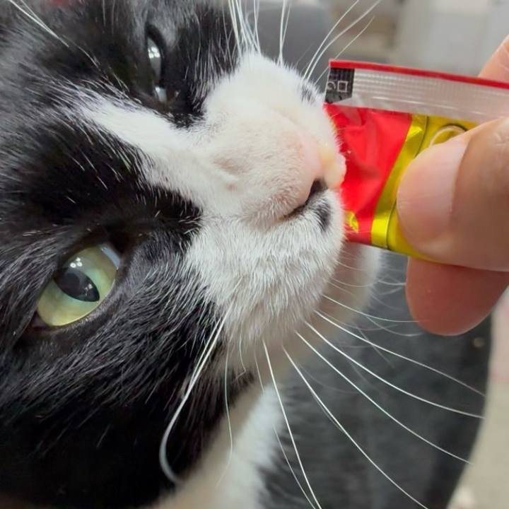 1062bf8e c802 4e8e a782 83c21ab63701 1754186722665