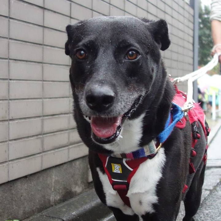 1062ea95 9eeb 467b 80ac ed4806d7f044 1665016742470