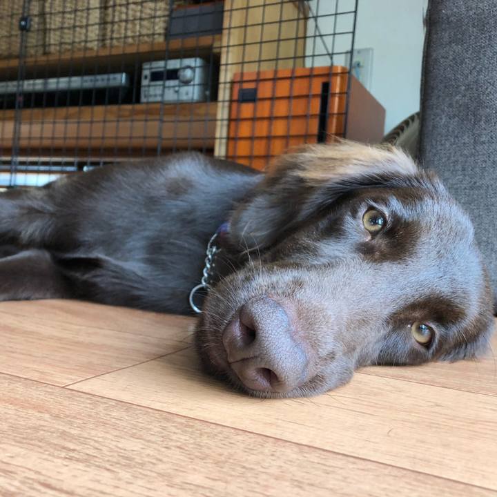 1062fa3a ff12 4ca1 8188 85cd2a7d3375 1565399611260