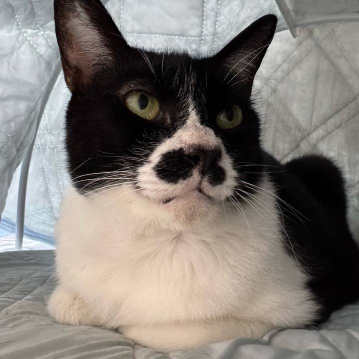 1062fc68 7521 47c6 956d c1fa831ded47 1752410238121