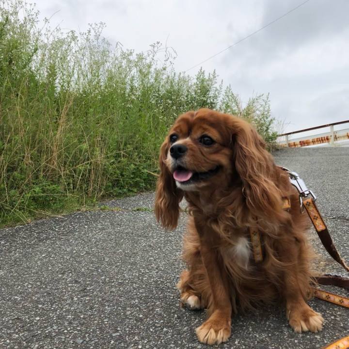 10632d2d 16d4 467b 9a22 9061b0306f04 1624668126279