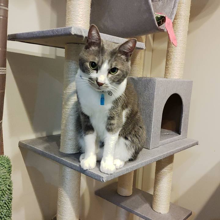 10635001 e89f 4f86 a6c5 414e6f4827f8 1665149887476