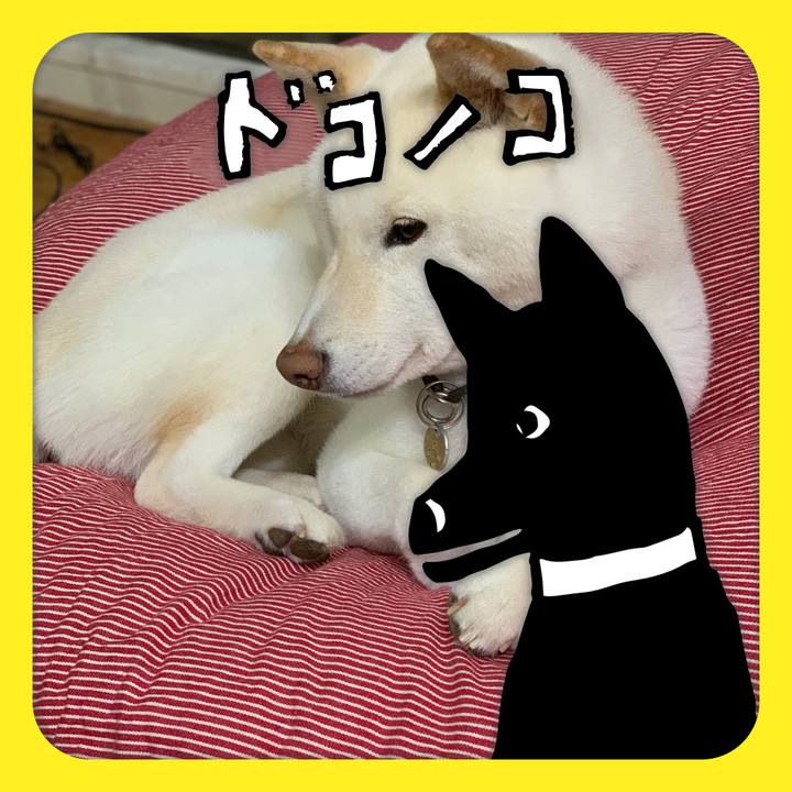 10636b72 787b 4fd3 8d53 436d26d7fad8 1622894261582