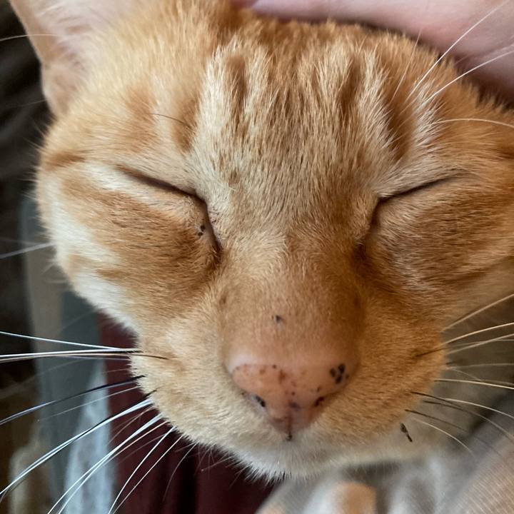 106380ad a048 4a7c 85e1 8b6ba4365779 1667397438190