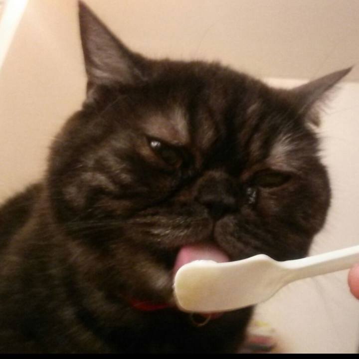 1063d0db d92f 42c7 a482 8c113548fb35 1724570031458