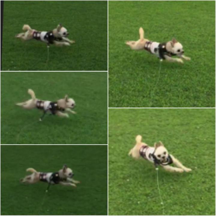 1063d797 4621 49ef 8381 4b741bae0123 1565866784089