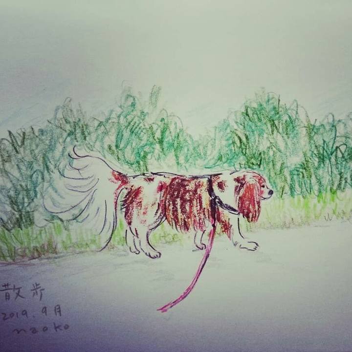 1063f084 cc20 4076 8335 b42b185f4e73 1568790728444