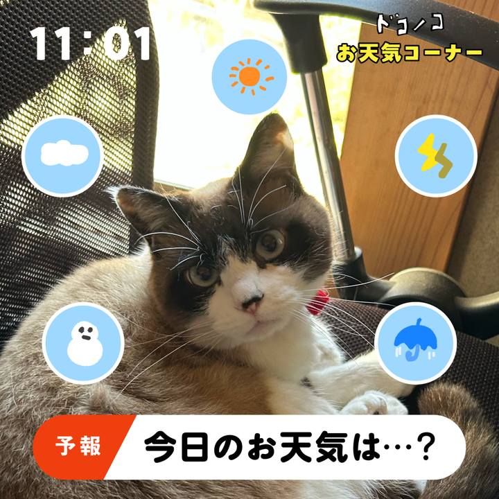 10641f02 cbda 4114 9fe3 b6545b51ce5d 1781731596187