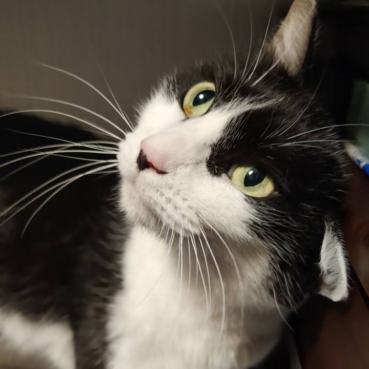 10644a2c cfb2 4c7f a759 ccb1ae2808b3 1772548811476