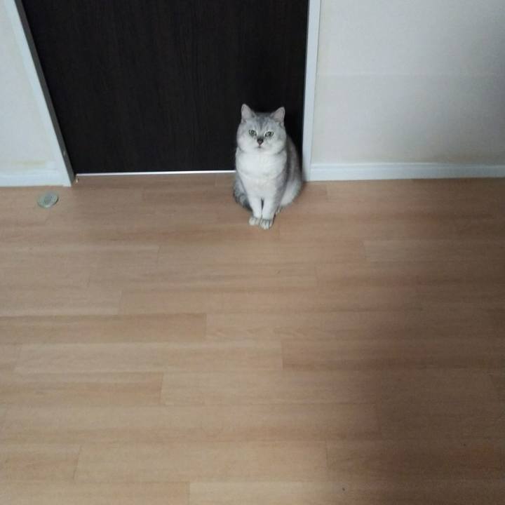 10646eec b862 46c1 ba60 b62f7cc4233a 1518275663815