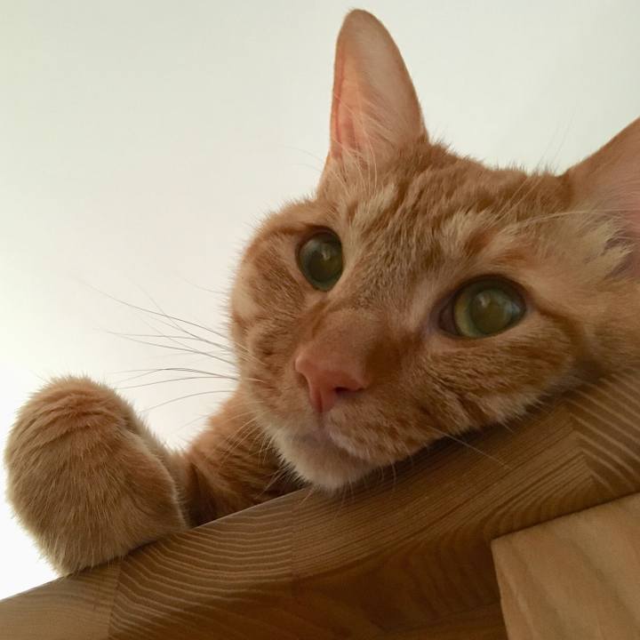 1064737d 560c 4739 a914 8037ae3661ce 1530314154500