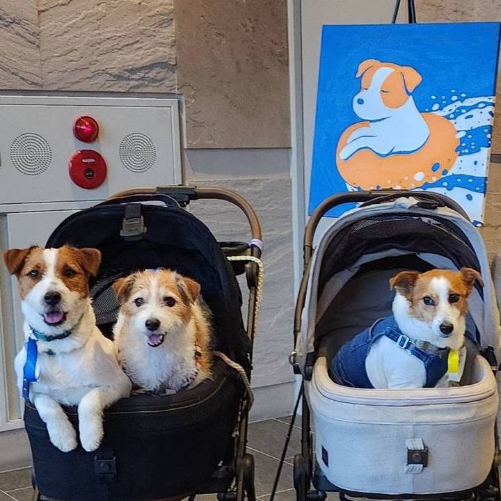 1064bad6 c1a0 4072 afcc e5f1a33ac236 1749903074510