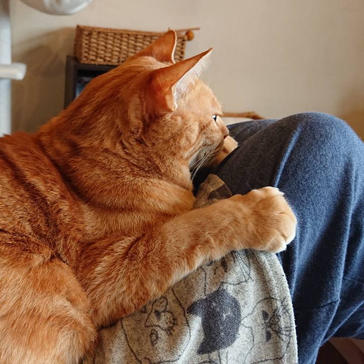 1064cd93 66d6 4060 8f9d 6a33d96d6855 1553905808514