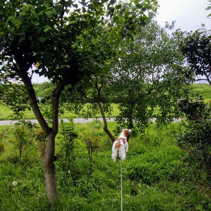 106579b6 1155 4382 89c8 9f04b41eaf31 1562664048203