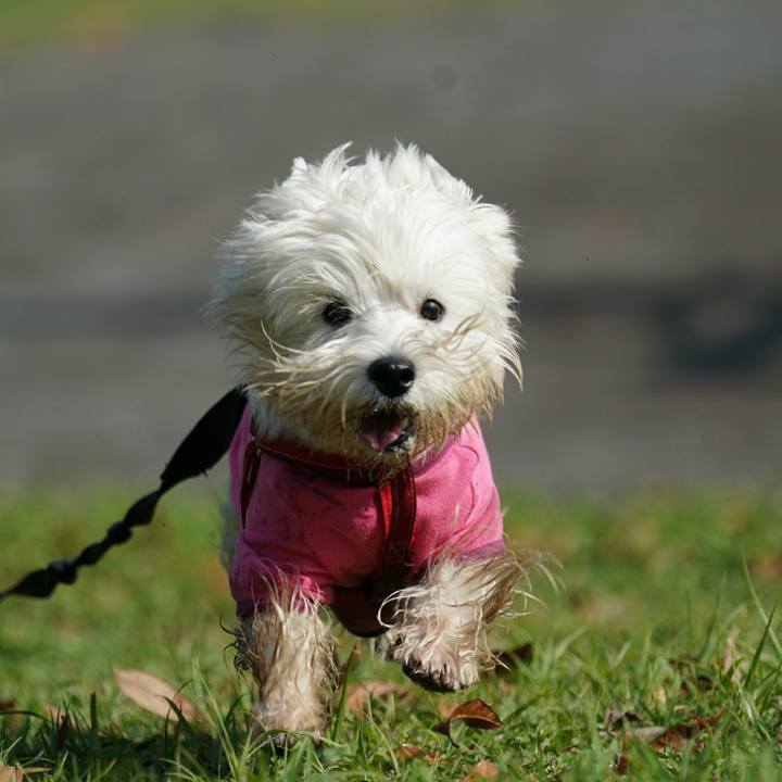 1065912c f3d0 414a 9dc7 574b8b66a9e3 1524120058274