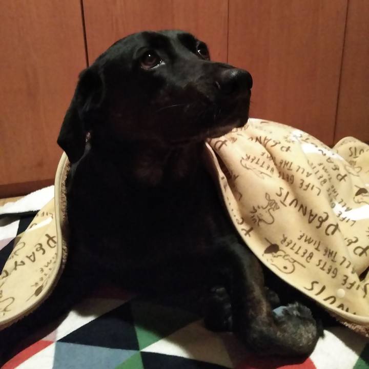 1065a26b bd29 498f 9ab4 7500493ec938 1583067799798