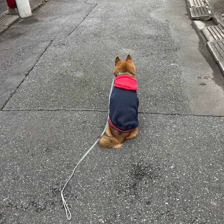 1065a554 3aea 4d0d 9bea 8f0ae302536a 1741222171077