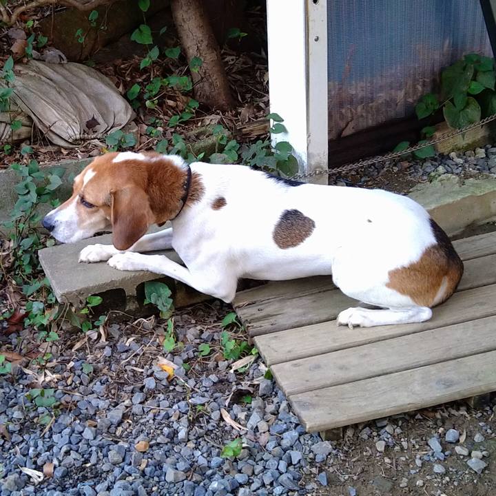 1065aa2b f0d5 46cf 8e7b 6175ee517dc0 1631956454784