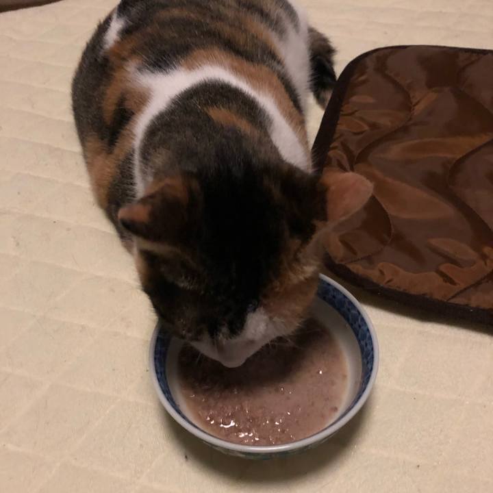 1065b5b4 39ee 4566 86a4 023c3ae1db0c 1581788913524