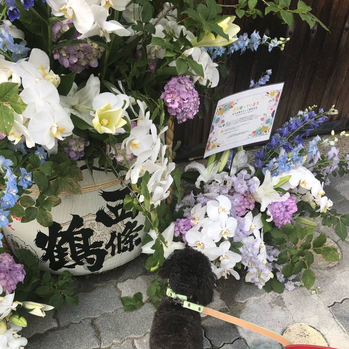 1065b818 fe59 4cee 8b3f 9535ff9c9413 1593328667030