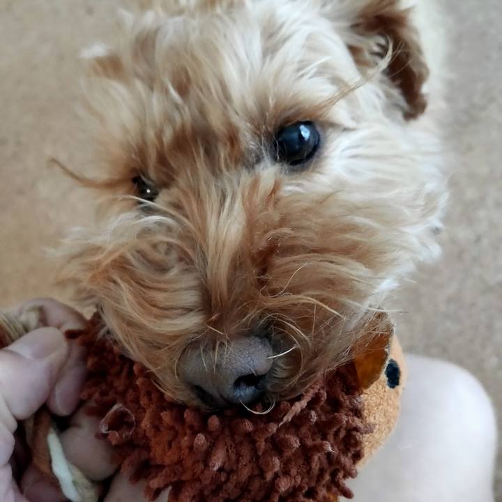 1065be77 0b90 4775 809b 05e4c834c289 1611270408828