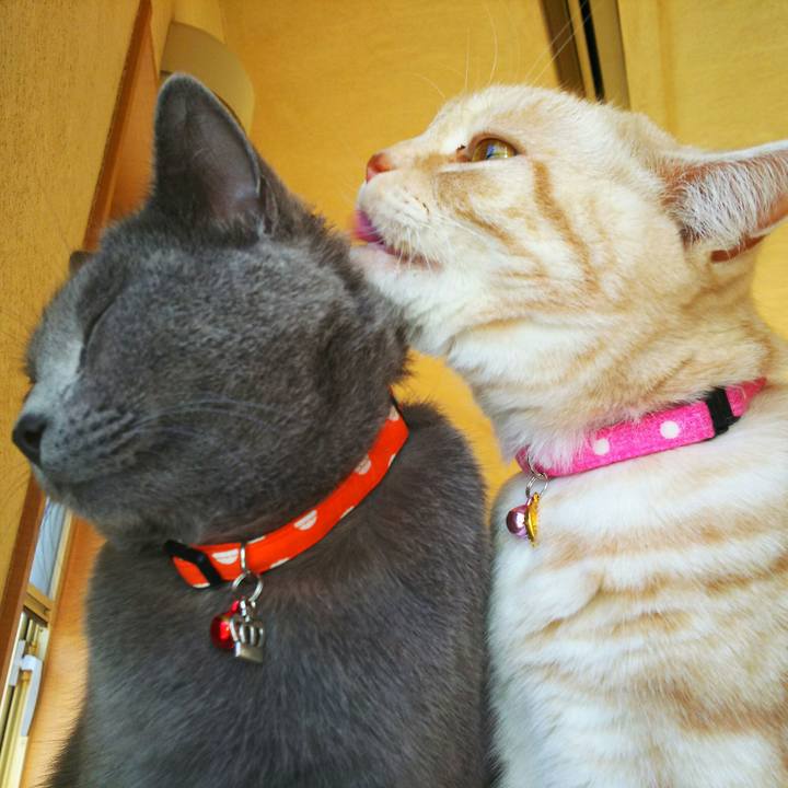 1065c7ca 05b5 4741 93a4 ae0cd2d3319d 1514890753341