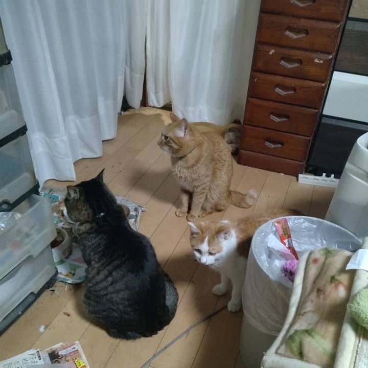 1065dbe4 f474 4b1a a824 5062d822bd90 1735978321115