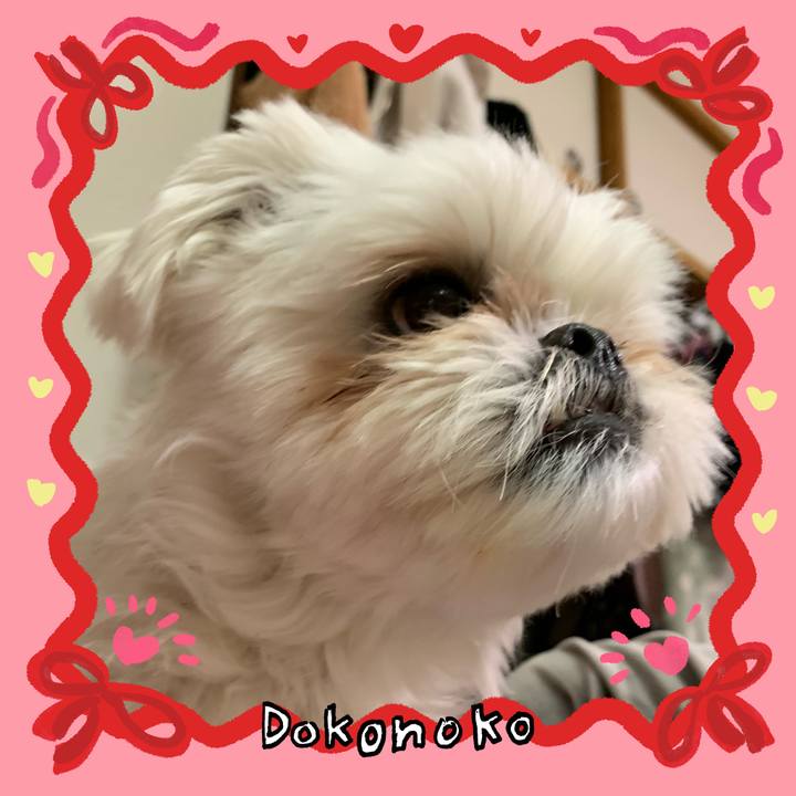 1065e19f dbc2 4f9c b94f c03fdd3fe8e1 1707039746276