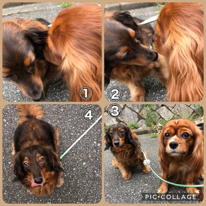 1065f07c 7aa9 486a 927f e761e30dc6e2 1600769288449