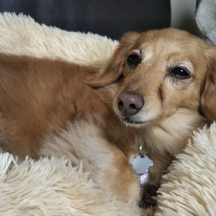 10664b26 cee9 4bdb b733 db4535075525 1605781710445