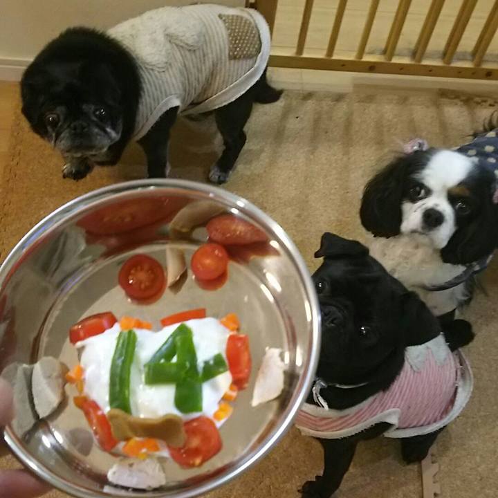 10665085 8851 4b8b 864e 979d440ad54d 1543409728546