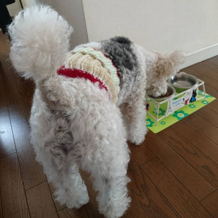 10665ba5 b999 40c4 983b 023713efc8a1 1512517714243