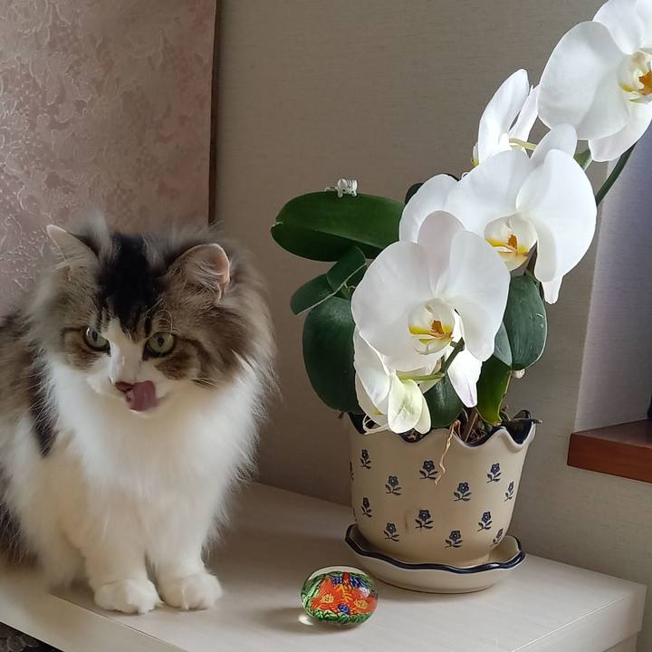 10665fa7 c024 4113 9cbb cb69a531122b 1649193058361