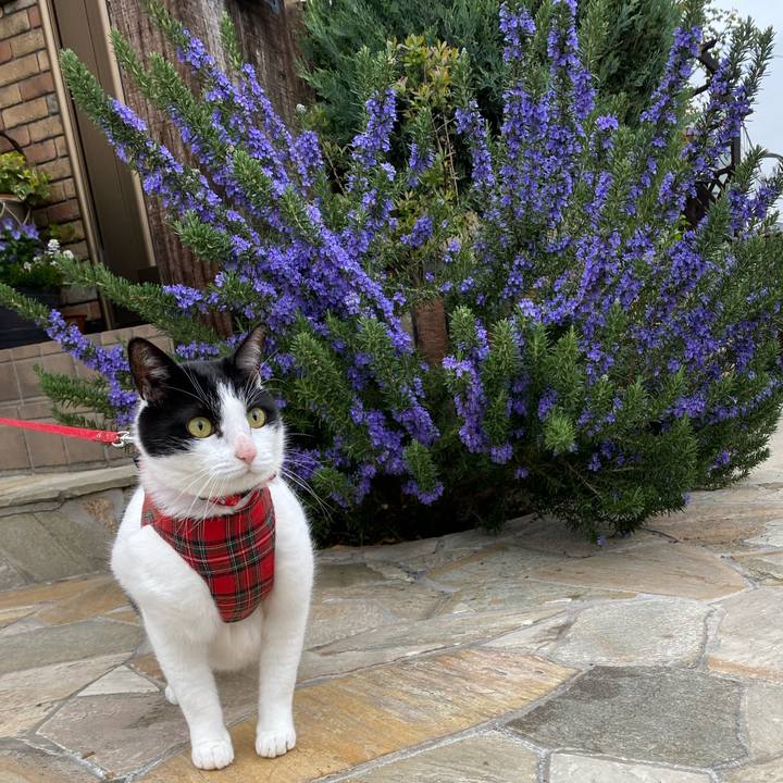 10666c86 e9aa 475a 8079 4187dd5b8873 1681811770235