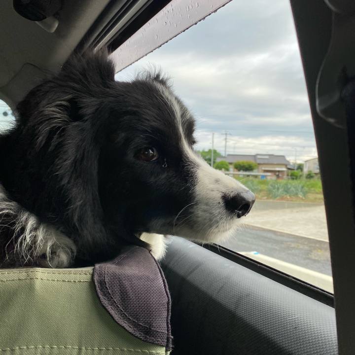 1066ce48 80af 485d aaec 0e03ef4c2581 1651875542689