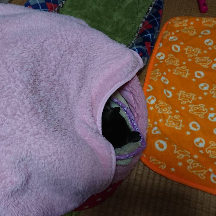 1066e063 8589 47d9 97c5 bd03fd4f2270 1542935343393