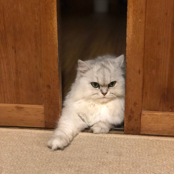 1066e4c2 a97a 42f1 8442 faa77095b65f 1596794988690