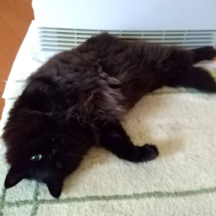 10672b49 ee0f 4e4e af9e 615687c4f90a 1617617989760